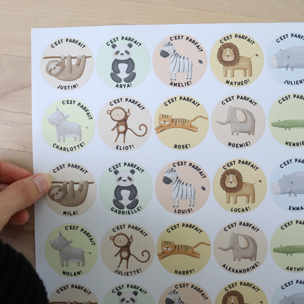 Autocollants personnalisés pour élèves - 6 feuilles