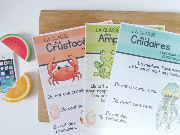 Affiches classification des animaux