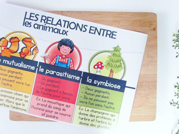 Affiches locomotion, règnes et relations