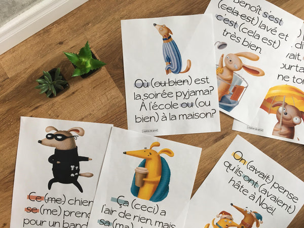 14 affiches sur les homophones
