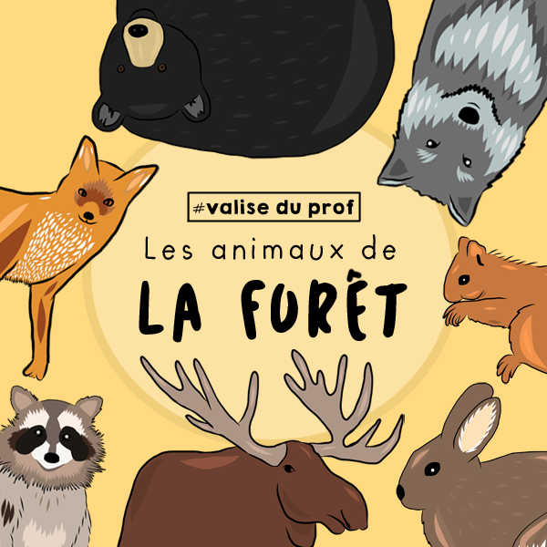 Cliparts Animaux de la forêt