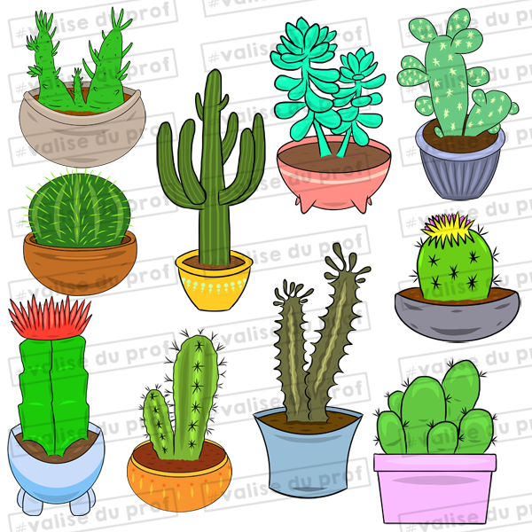 10 Cliparts Cactus (2 versions)
