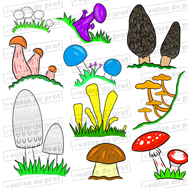 10 Cliparts - Champignons (2 versions)