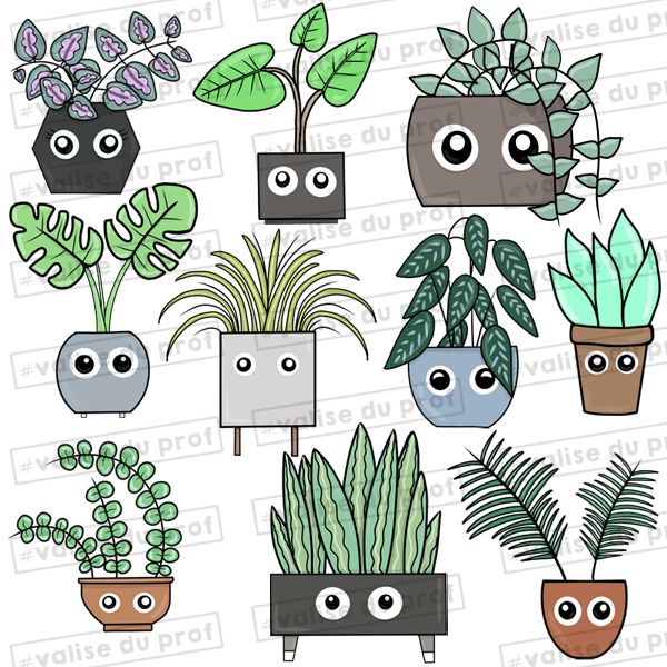 10 Cliparts Plantes d'intérieur (2 versions)