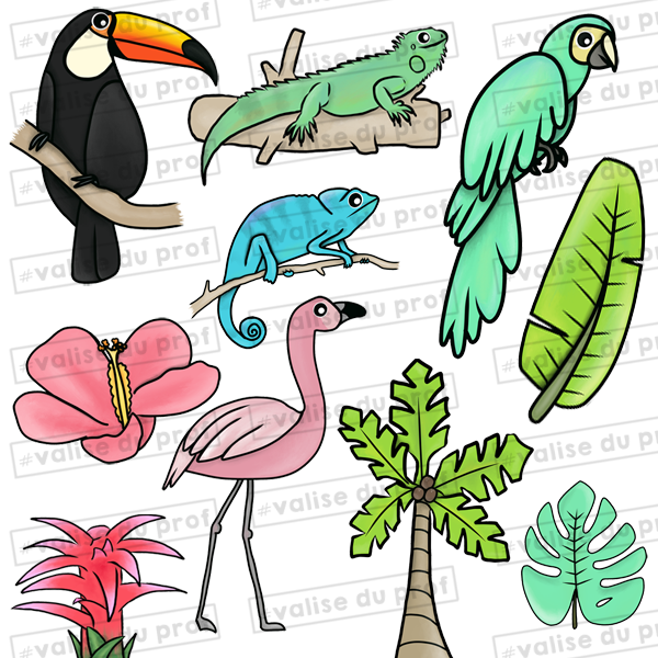10 Cliparts - Tropical