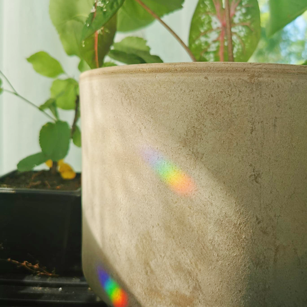 SUNCATCHER ☀️🌈 MOONIE (X)