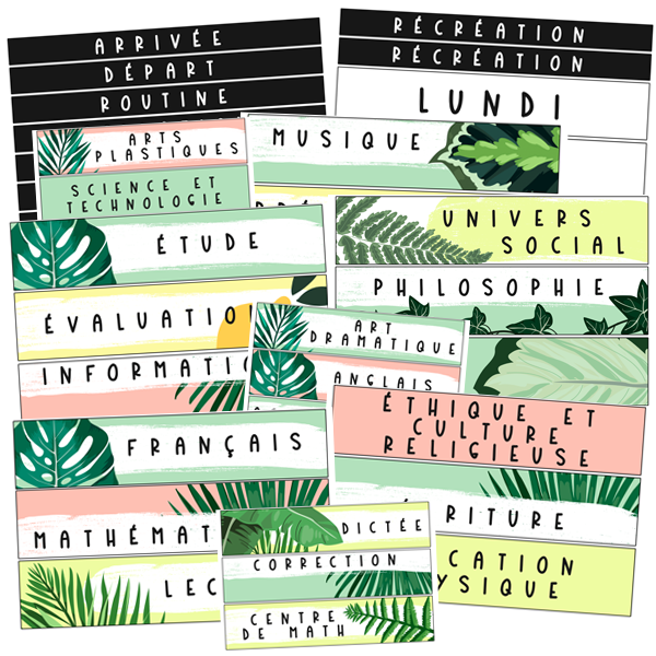 Menu du jour XL - Tropical