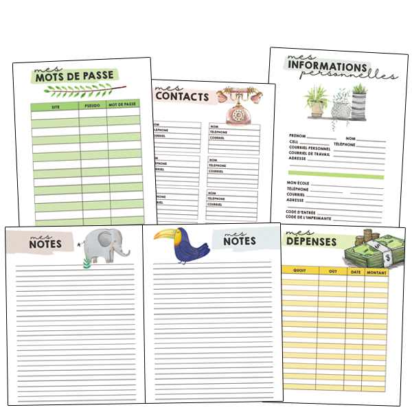 Feuilles de gestion et notes - couleurs