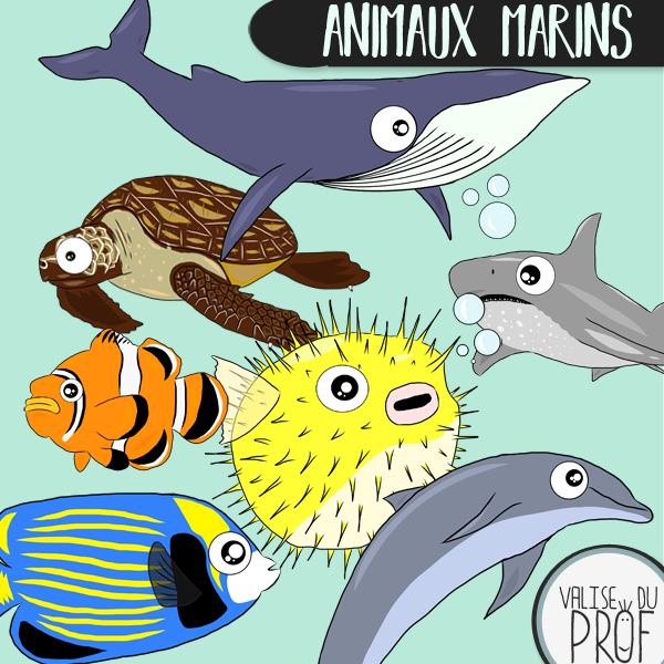 Animaux marins / marine animals cliparts
