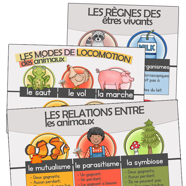 Affiches locomotion, règnes et relations