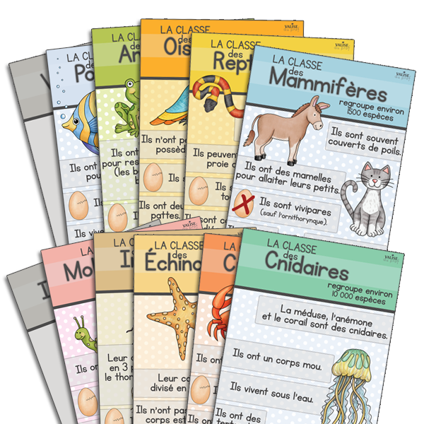 Affiches classification des animaux