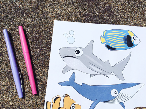 Animaux marins / marine animals cliparts