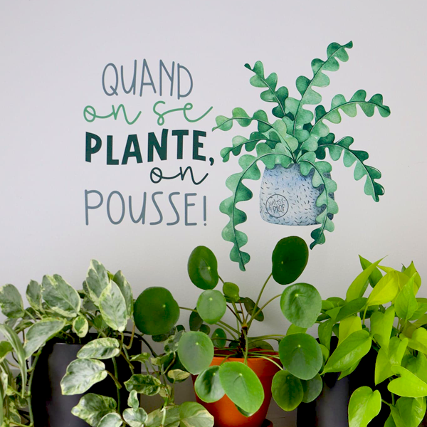 Autocollant mural - Plante