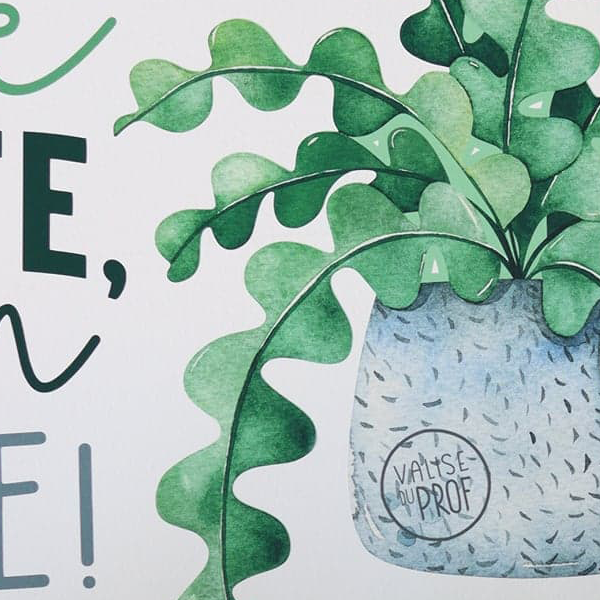 Autocollant mural - Plante
