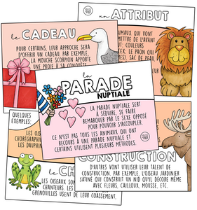 Affiches - Parade nuptiale 💗