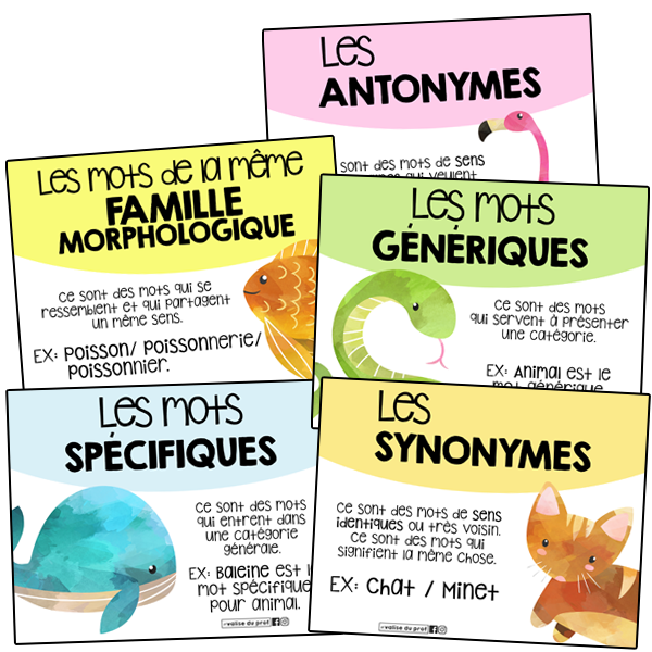 Affiches et activités: Relations entre les mots