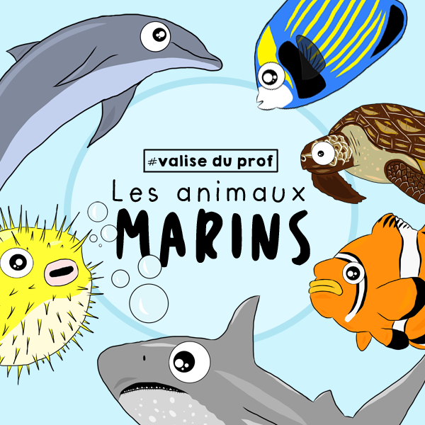 Animaux marins / marine animals cliparts