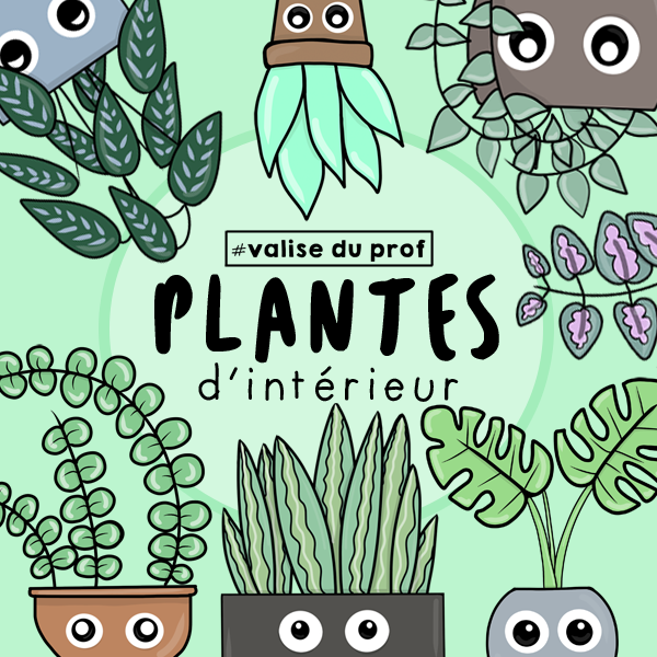 10 Cliparts Plantes d'intérieur (2 versions)