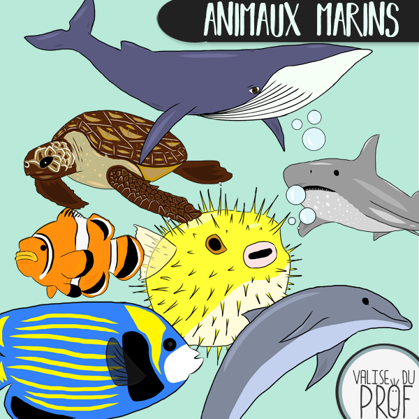 Animaux marins / marine animals cliparts