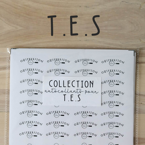 Collection - T.E.S - 11 feuilles