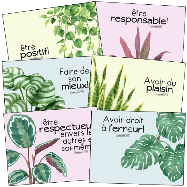 6 affiches des valeurs de classe - Plantes
